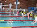 IMG_1717