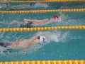 IMG_1916