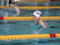 IMG_2254