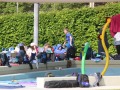 IMG_8591
