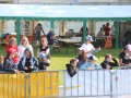 IMG_8611