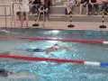 IMG-20250208-WA0005