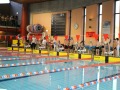 IMG-20200120-WA0013