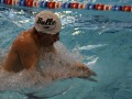 IMG-20200120-WA0015