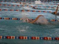 IMG-20200120-WA0021