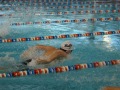 IMG-20200120-WA0023