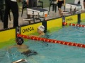 IMG-20200120-WA0035