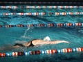 IMG-20200120-WA0037