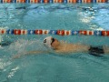 IMG-20200120-WA0044