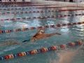 IMG-20200120-WA0046