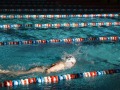 IMG-20200120-WA0049