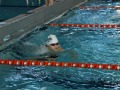 IMG-20200120-WA0060