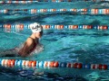 IMG-20200120-WA0061