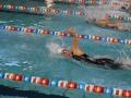 IMG-20200120-WA0066