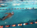 IMG-20200120-WA0077
