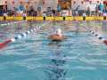 IMG-20191013-WA0101