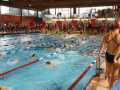 IMG-20191013-WA0110