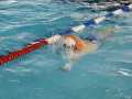 IMG-20191013-WA0121