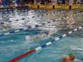 IMG-20191013-WA0179