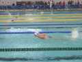 IMG-20240526-WA0035