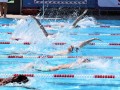 IMG_3802