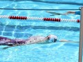 IMG_3816