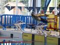 IMG-20210509-WA0071