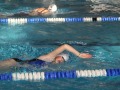 IMG-20200208-WA0009