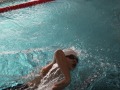 IMG-20200208-WA0017