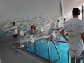 IMG-20200208-WA0018