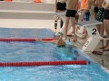 IMG-20200208-WA0030
