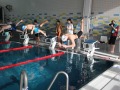 IMG-20200208-WA0033