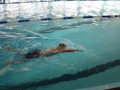 IMG-20200208-WA0039