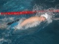 IMG-20200208-WA0052