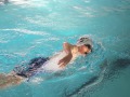 IMG-20200208-WA0054