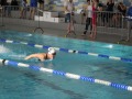 IMG-20200208-WA0060