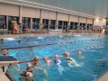 IMG-20200210-WA0045