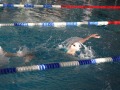 IMG-20200210-WA0046