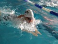 IMG-20200210-WA0051