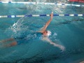 IMG-20200210-WA0053
