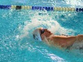 IMG-20200210-WA0054