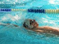 IMG-20200210-WA0055