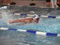 IMG-20240211-WA0028