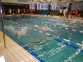 DSCN0510
