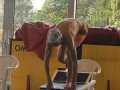 IMG-20240505-WA0009