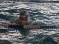 IMG-20240505-WA0017