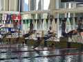IMG-20240505-WA0052