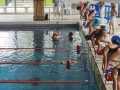 IMG-20240505-WA0053