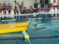 IMG-20220212-WA0033