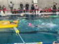 IMG-20220212-WA0041